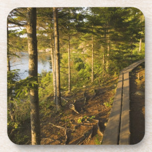 Porta-copo Uma passarela de madeira no Parque Nacional Acadia