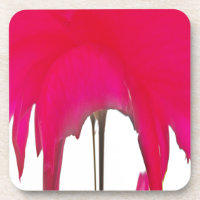 Uma Rosa vermelha maravilhosa sob o céu branco