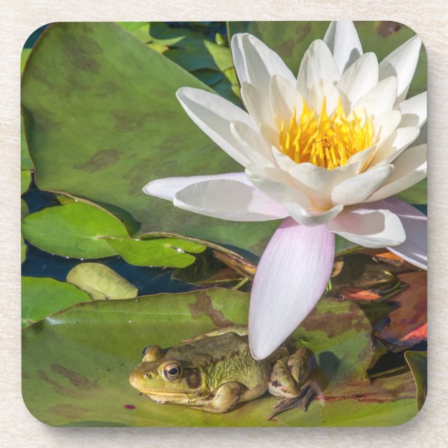 Porta-copo Une grenouille sous une fleur de nénuphar (Frente)