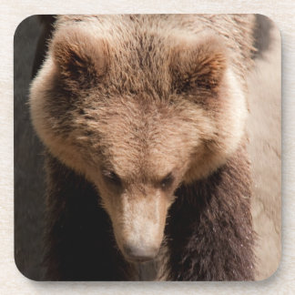 Porta-copo Urso castanho