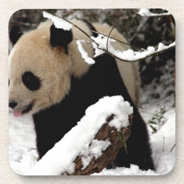 Porta-copo Urso de panda (Frente)