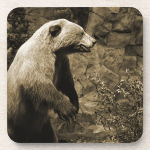Porta-copo Urso Ordenado