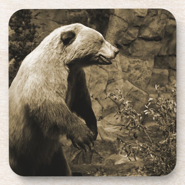 Porta-copo Urso Ordenado (Frente)