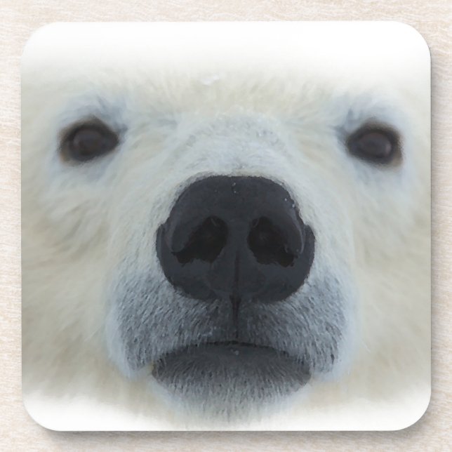 Porta-copo Urso Polar (Frente)