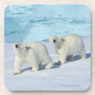 Porta-copo Urso polar, dois copos no gelo de bloco, Ursus