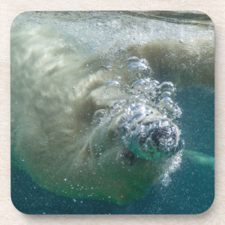 Porta-copo Urso polar submarino