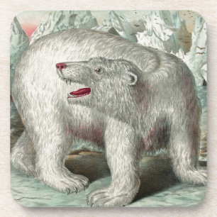 Porta-copo Urso polar vintage em ilustração de inverno de ice
