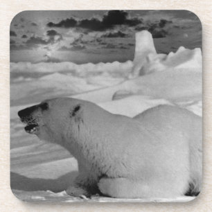 Porta-copo Urso polar Vintage USA Alaska