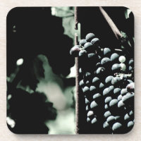 Uvas para vinho