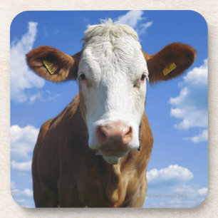 Porta-copo Vaca bávara contra o céu azul