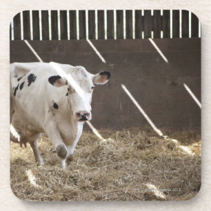 Porta-copo Vaca de leiteria