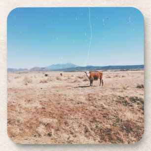 Porta-copo Vaca do Deserto