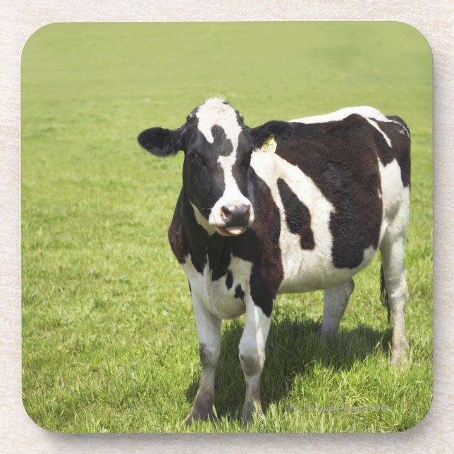 Porta-copo Vaca no prado (Frente)