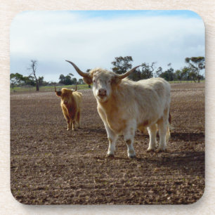Porta-copo Vacas Altas Derrubadas Ate Crop, Conjunto De Porta