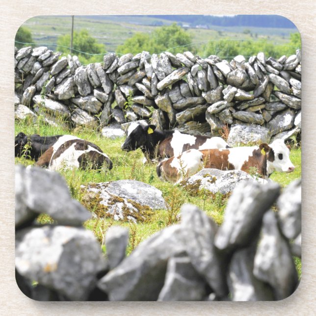 Porta-copo Vacas de Moo (Frente)