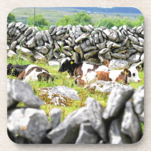 Porta-copo Vacas Mugindo