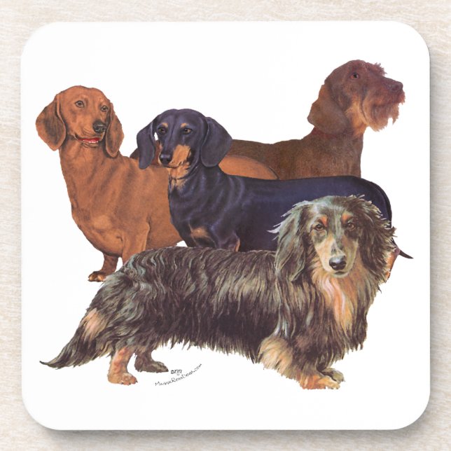 Porta-copo Variedades de Dachshund (Frente)