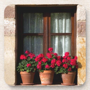 Porta-copo Vasos de flores na janela da aldeia