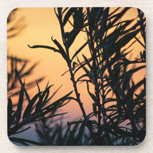 Porta-copo Vegetação no pôr do sol (Frente)