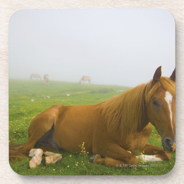 Porta-copo Vêneto Italia 2 (Frente)