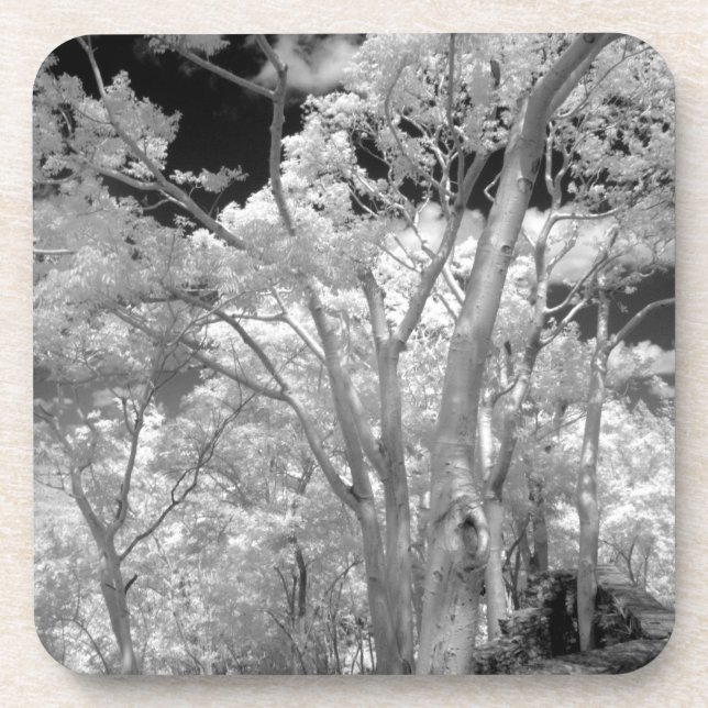 Porta-copo Vermelho infravermelho de árvores edifícios e tril (Frente)