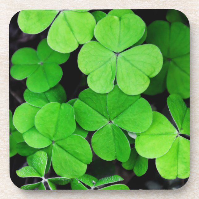 Porta-copo Véu (Frente)