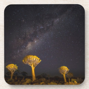 Porta-copo Via Láctea Quiver Tree Keetmanshoop Namíbia