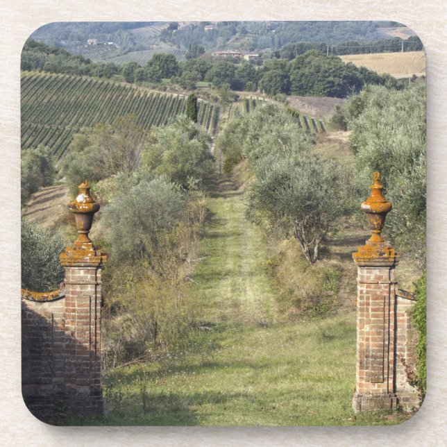 Porta-copo Vineyards, Toscana, Itália (Frente)