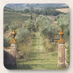 Porta-copo Vinhas, Toscana, Itália