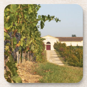 Porta-copo Vinhas, videiras petit verdot e a adega ao