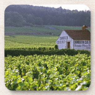 Porta-copo vinhedo Chambertin Clos de Beze Grand Cru com