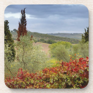 Porta-copo Vinícola perto de Montalcino, Toscana, Itália