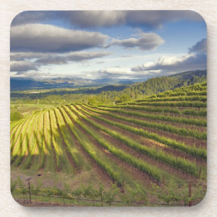 Porta-copo Vinícola. Vale de Napa. Napa. Condado de Napa,
