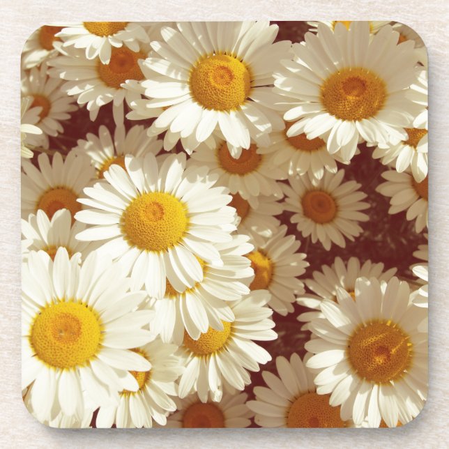 Porta-copo Vintage daisies (Frente)