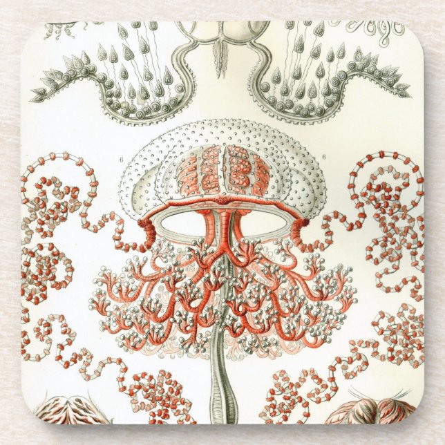 Porta-copo Vintage Haeckel (Frente)