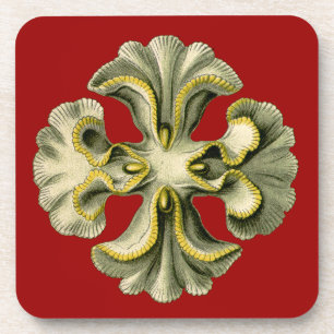 Porta-copo Vintage Haeckel