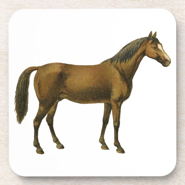 Porta-copo Vintage Horse (Frente)