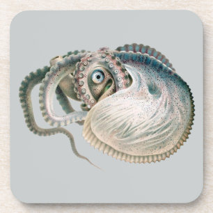 Porta-copo Vintage Octopus Argonaut, Animais da Vida Marinha