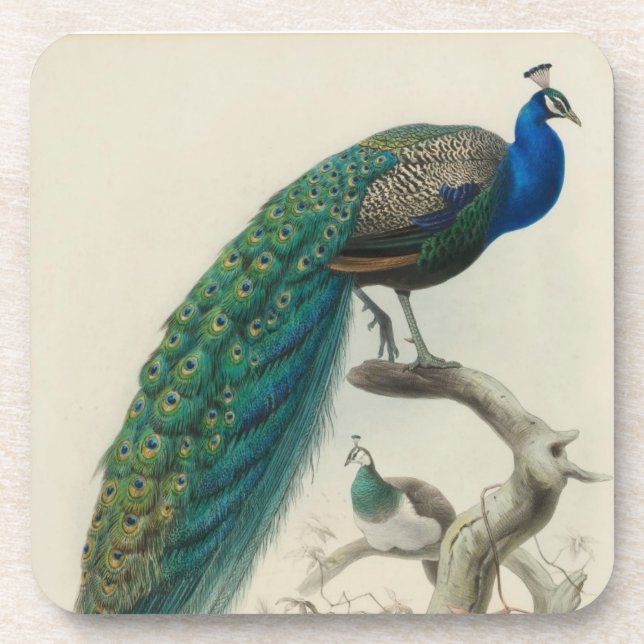 Porta-copo Vintage Peacock (Frente)