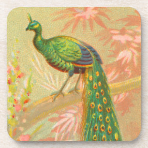 Porta-copo Vintage Peacock e pintura de flores