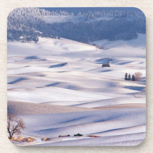 Porta-copo Vista de Steptoe Butte de colinas onduladas cobert