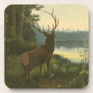 Porta-copo Vista de trás de Elk Olhando sobre um lago