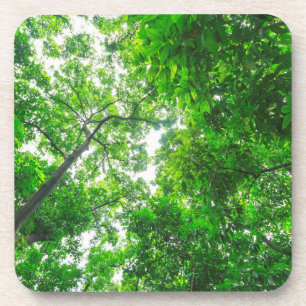 Porta-copo Vista para cima das árvores