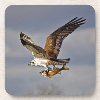 Porta-copo Voando Osprey com Walleye Fish HDR Foto