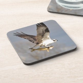 Porta-copo Voando Osprey com Walleye Fish HDR Foto