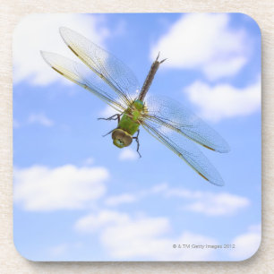 Porta-copo Vôo verde do darner (junius de Anax) contra nuven