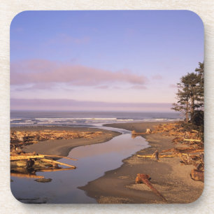 Porta-copo WA, Parque Nacional Olympic, Praia Kalaloch e Kala