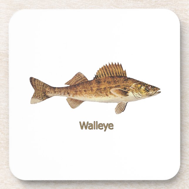 Porta-copo Walleye (grandes lagos) (Frente)