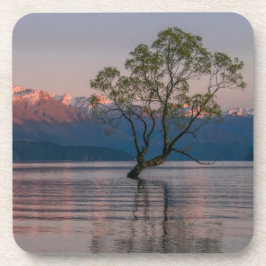 Porta-copo Wanaka Tree, Portas copos da Nova Zelândia