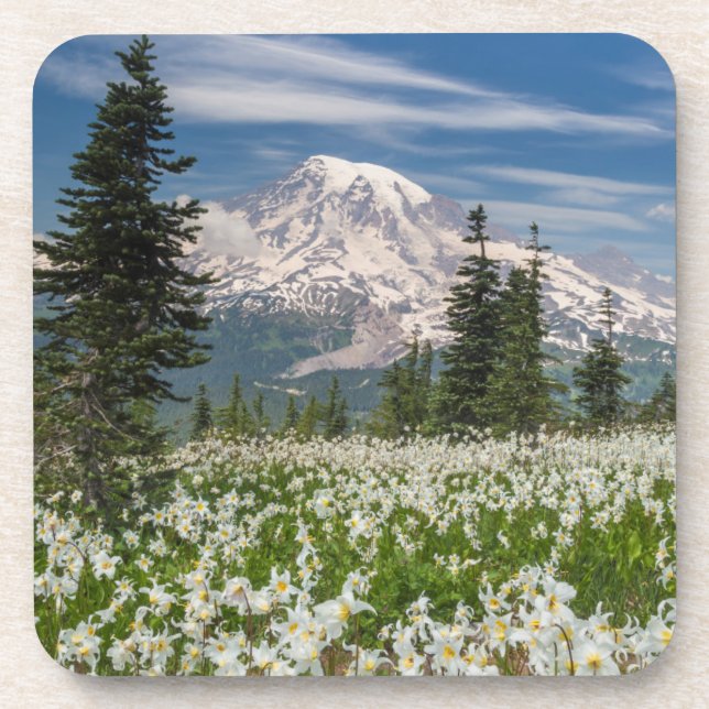 Porta-copo Washington, Parque Nacional Mount Rainier 1 (Frente)